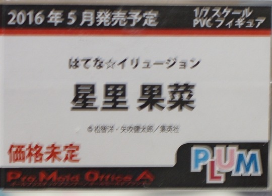 20160212_HOBBY_PLUM03