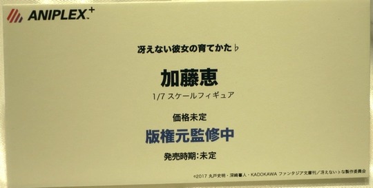 WF2017W_Girl_ANIPLEX11