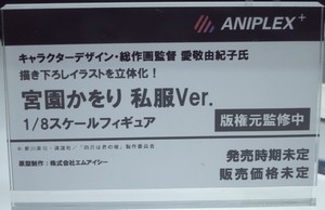 Megahobby_2017S_ANIPLEX14
