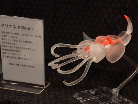 WF2017S_サカマタ商事01