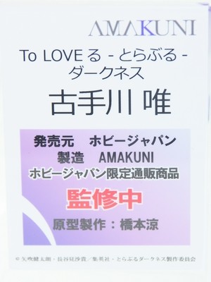 MegaHobby_AMAKUNI10