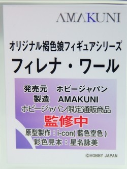 megahobby_AMAKUNI39