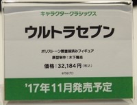 WF2017S_四万十川04
