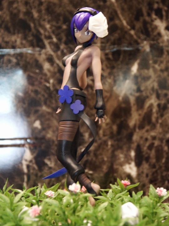 WF2017S_銀兎き01