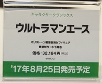 WF2017S_四万十川06