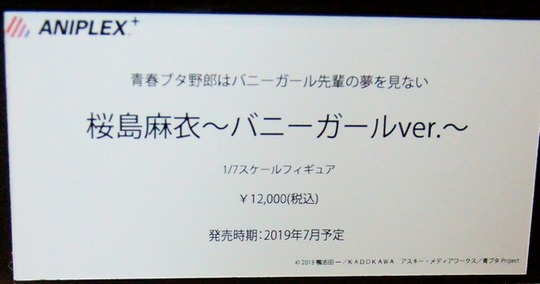 megahobby_ANIPLEX10