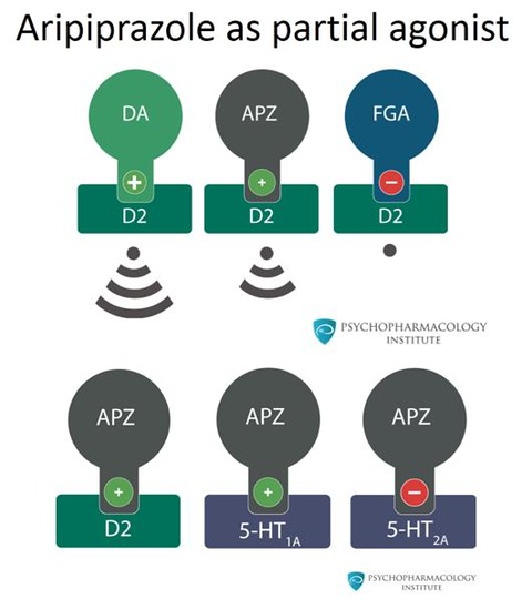 aripiprazole as partial agonist