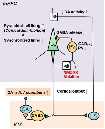 FEP-30
