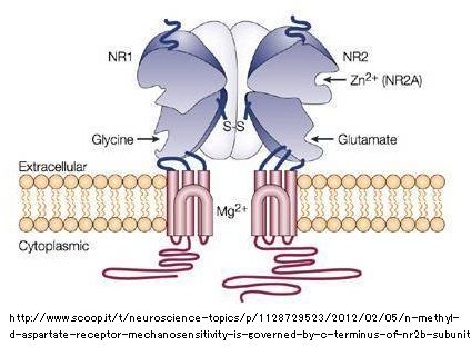FEP-10