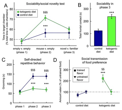 ketogenic diet-16