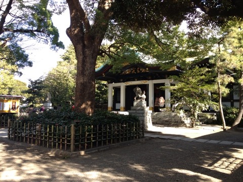 画像12