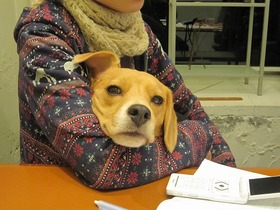 100120neiro_5