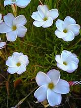 DVC00209
