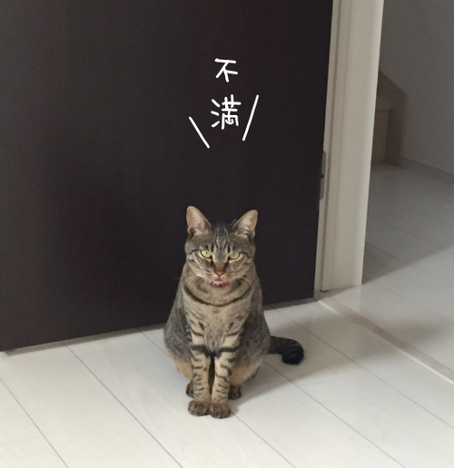 キャプチャ