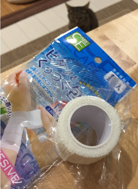 キャプチャ