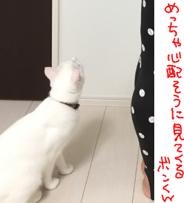 キャプチャ