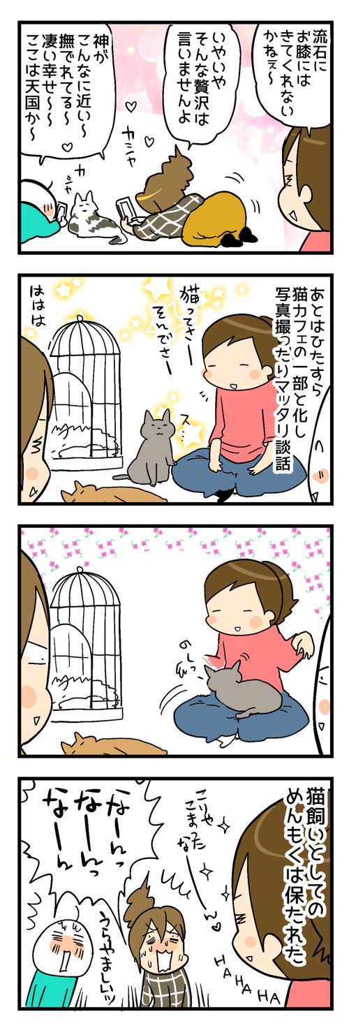 猫カフェ