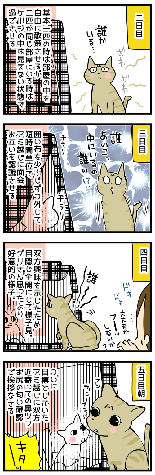 スケジューる