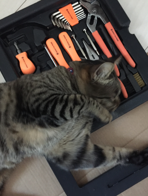 キャプチャ