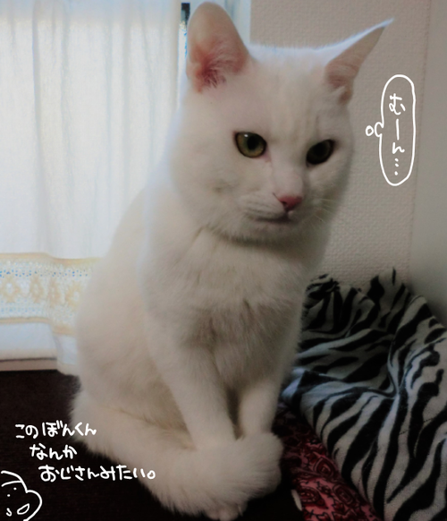 キャプチャ
