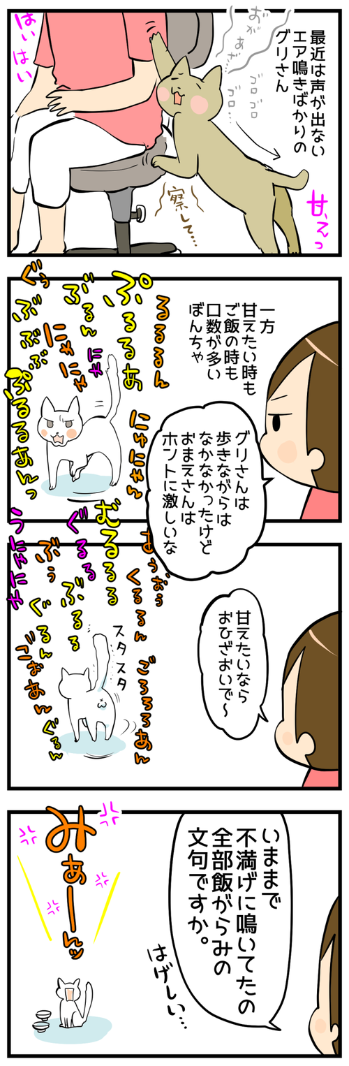 口数