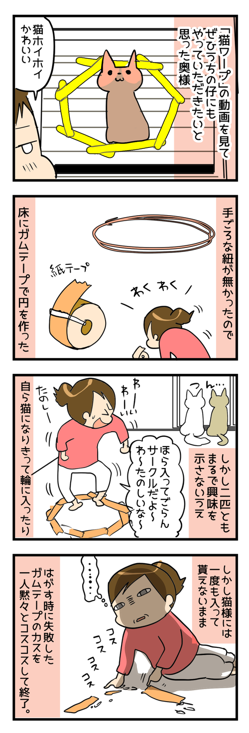 憧れの猫ワープ