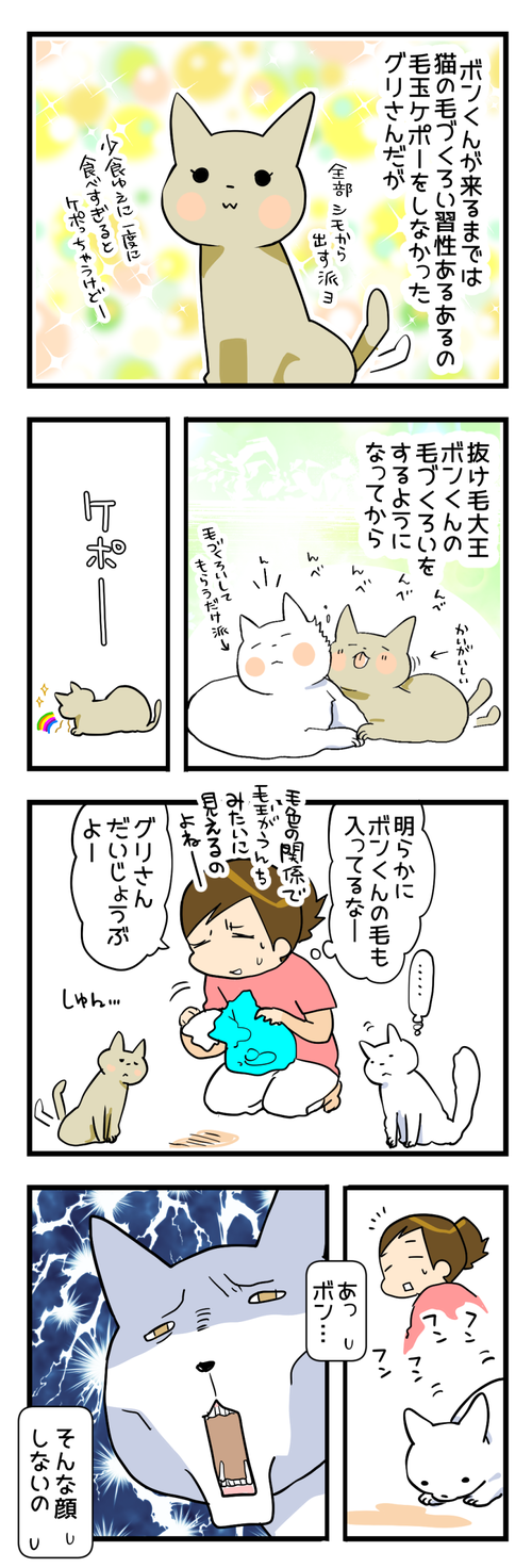 毛玉けぽー