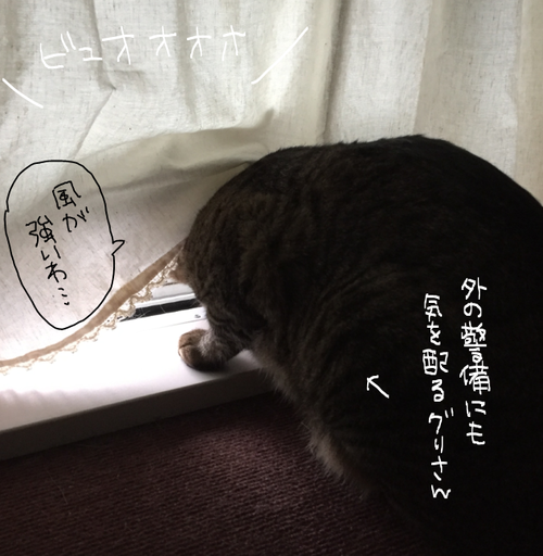 キャプチャ