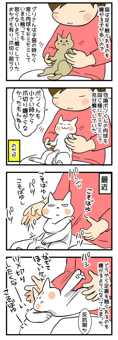 爪切り