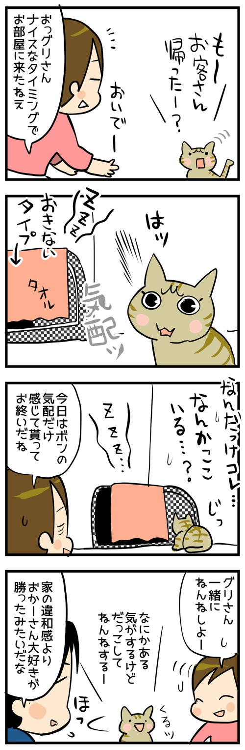 出会いよりおかあさん