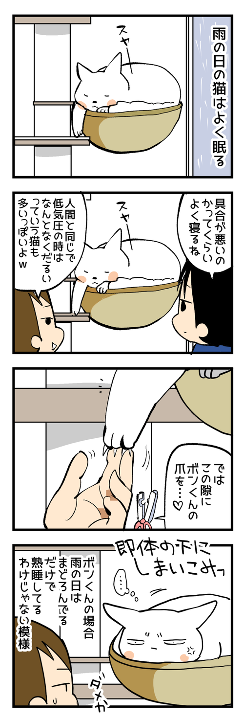 雨の日の