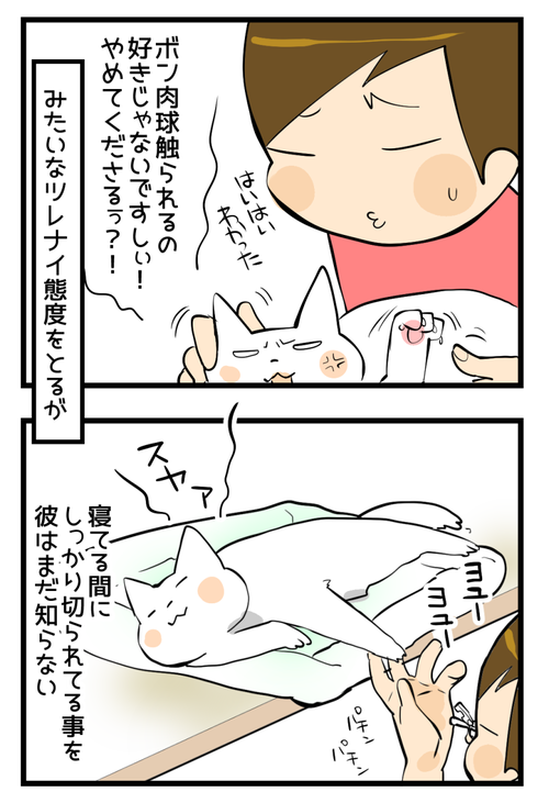 爪切り2