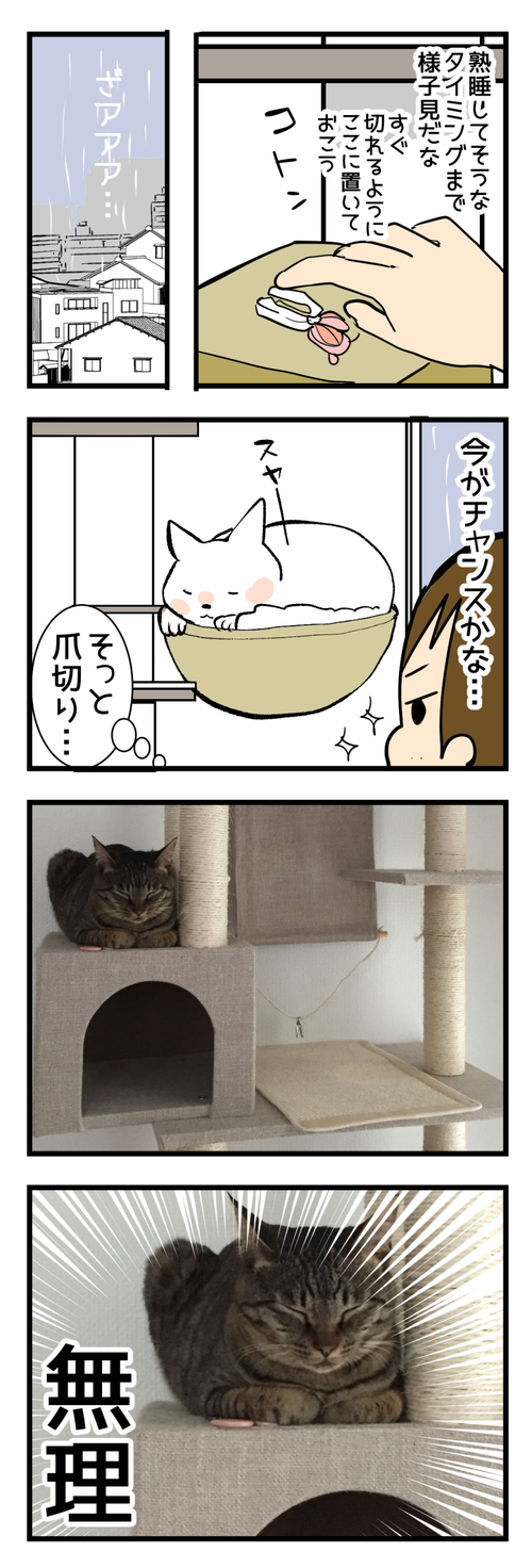 雨の日の2