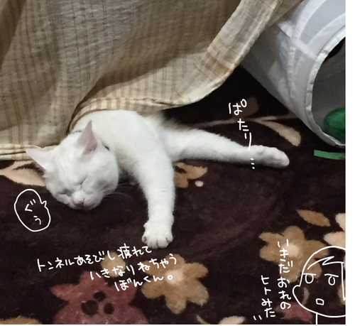 キャプチャ