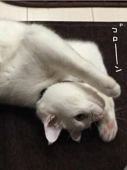 キャプチャ