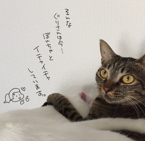 キャプチャ