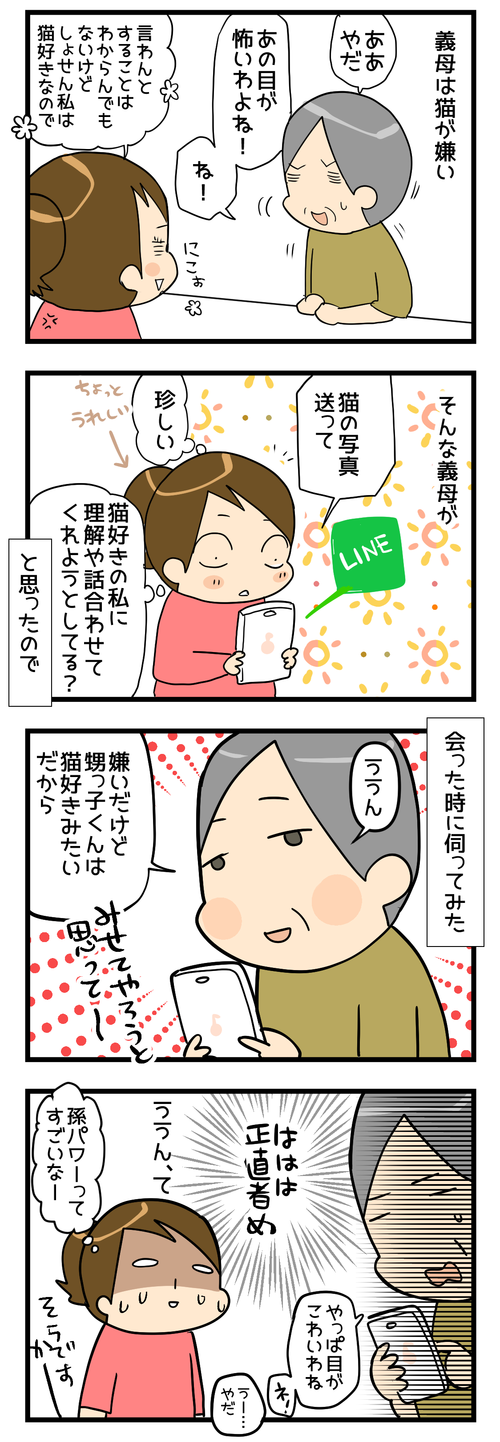 ネコ嫌いの義母