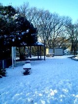 07d22927.jpg