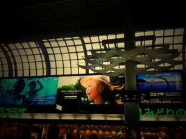 20100812_00