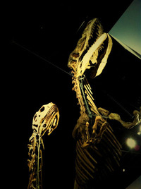 20100909_04