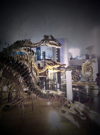 20100909_05