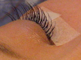 2011_1228kaci0040