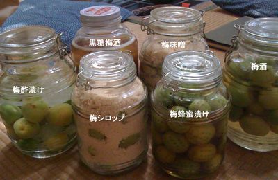 漬けたて