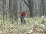 MTB