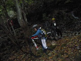 DSCN5288