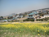 DSCN6527