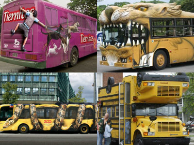 buss