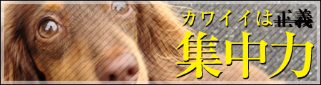 ブログ用イメージ