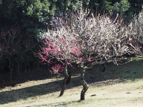 P3050029
