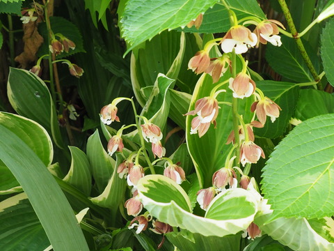 P4290014